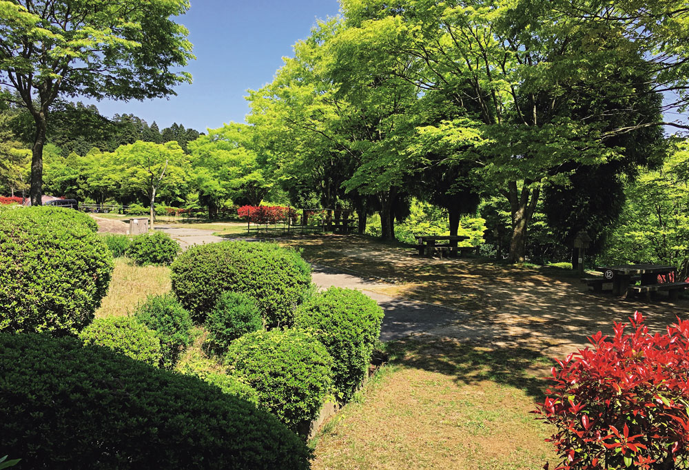 野呂山キャンプ場・オートキャンプ場