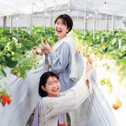 君田いちごハウス
