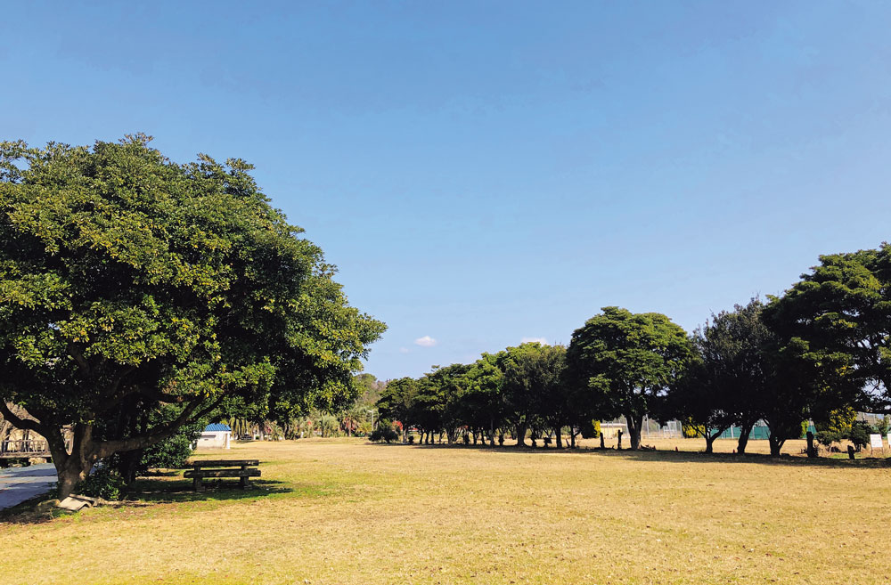 大崎上島町大串キャンプ場