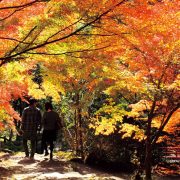 三郎の滝