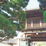 天寧寺