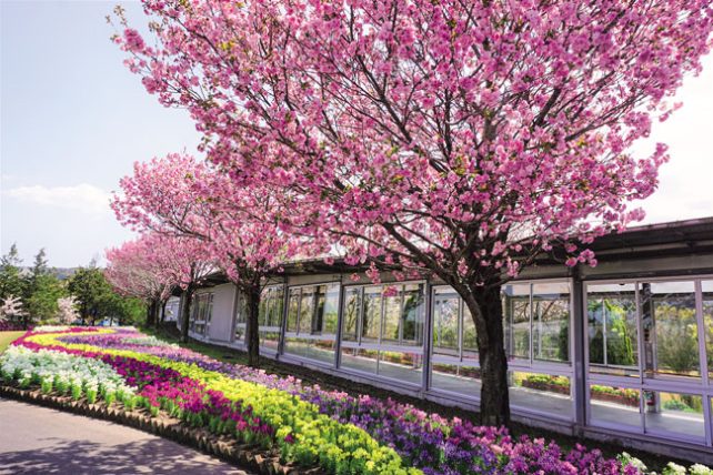 しまね花の郷 タウン情報ウインク 広島 福山