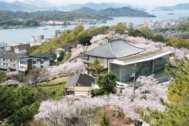 『町並み×桜』千光寺公園