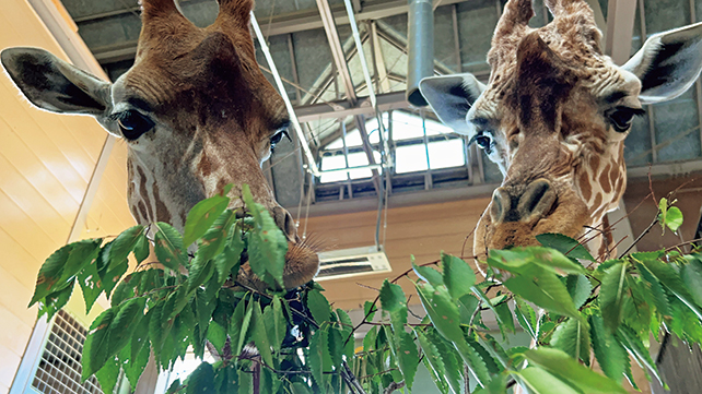 福山市立動物園