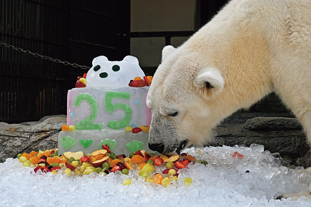 愛媛県立とべ動物園