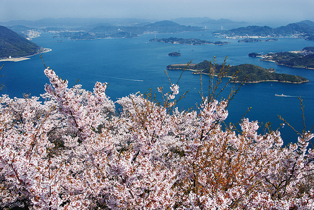 『多島美×桜』瀬戸内海国立公園 筆影山