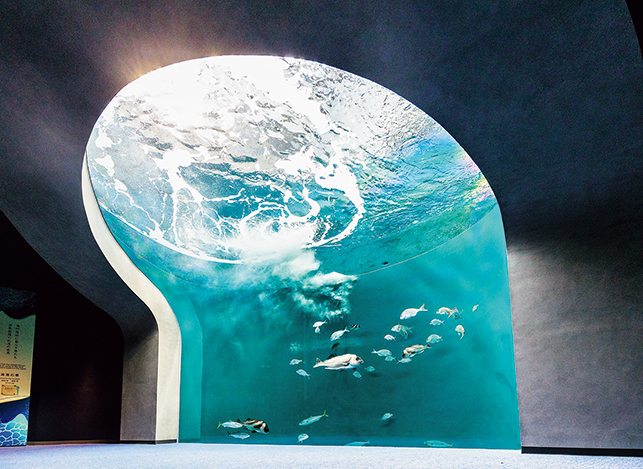 四国水族館