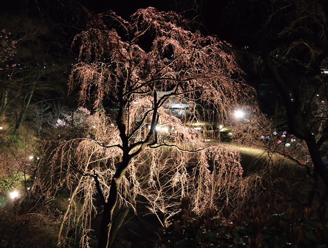 広島市植物公園