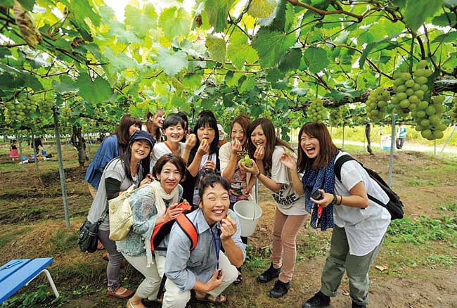 世羅幸水農園 ビルネ・ラーデン