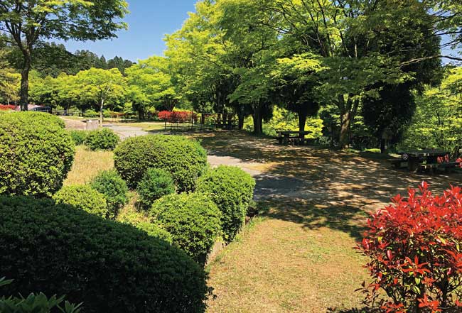 野呂山キャンプ場・オートキャンプ場