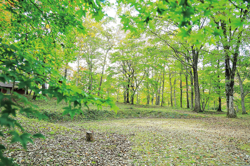 休暇村帝釈峡 くぬぎの森オートキャンプ場