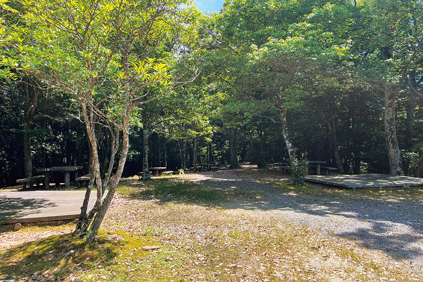 豊田湖畔公園キャンプ場