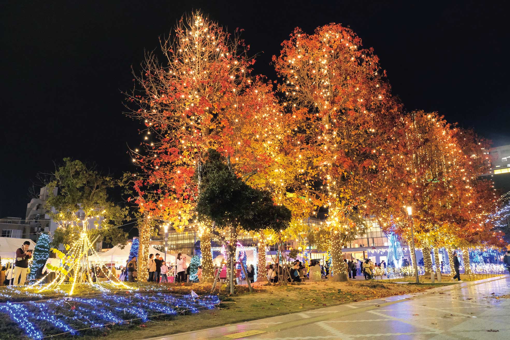 Higashihiroshimaトワイエ 2025＠ 西条中央公園