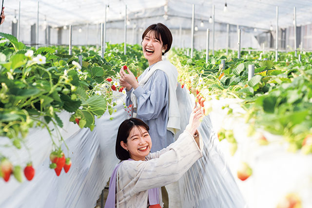 君田いちごハウス