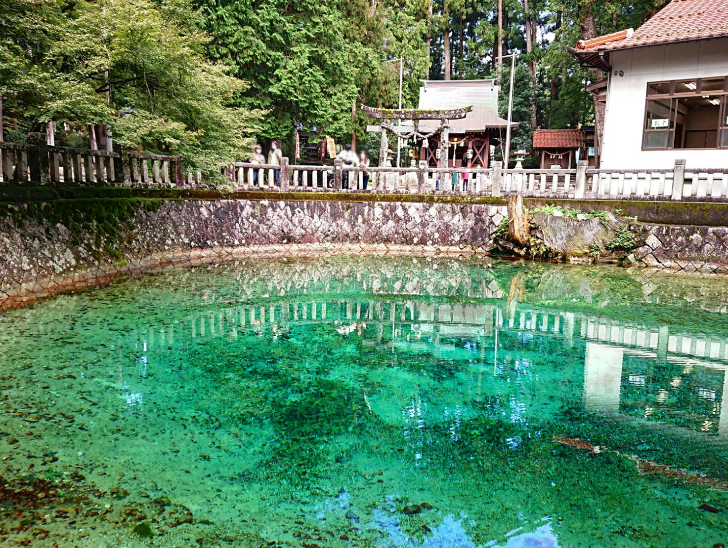 山口県美祢市 長門市の絶景スポットめぐり タウン情報ウインク 広島 福山