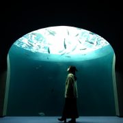 【クチコミおでかけ】香川県・四国水族館