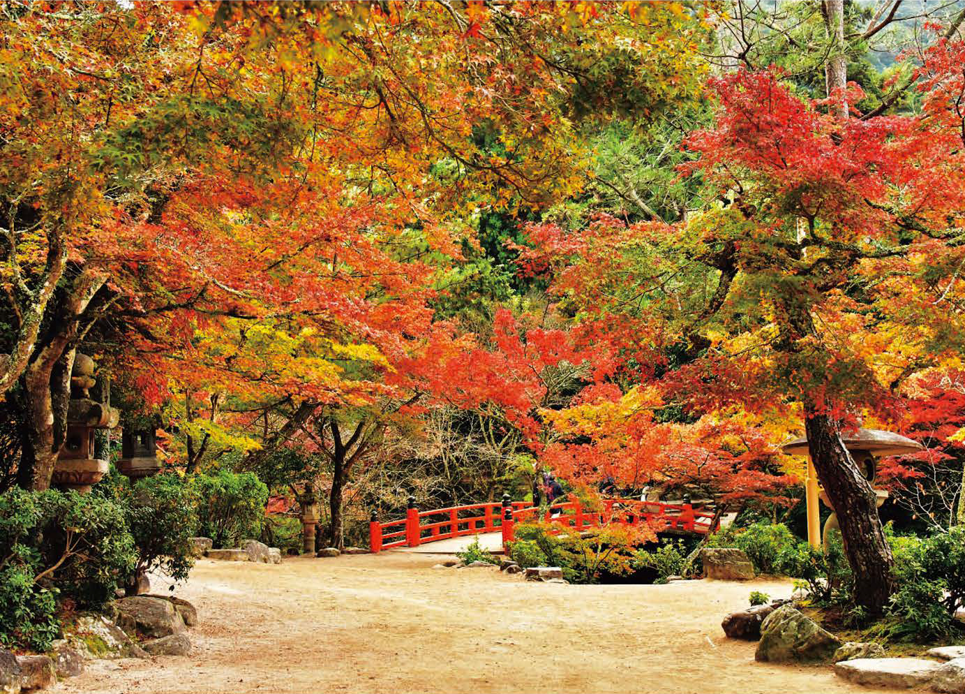 紅葉 Aを味わう秋のドライブ タウン情報ウインク 広島 福山