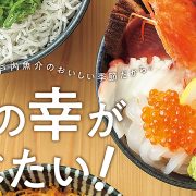 ウインク 2025年1月号『海の幸が食べたい！』